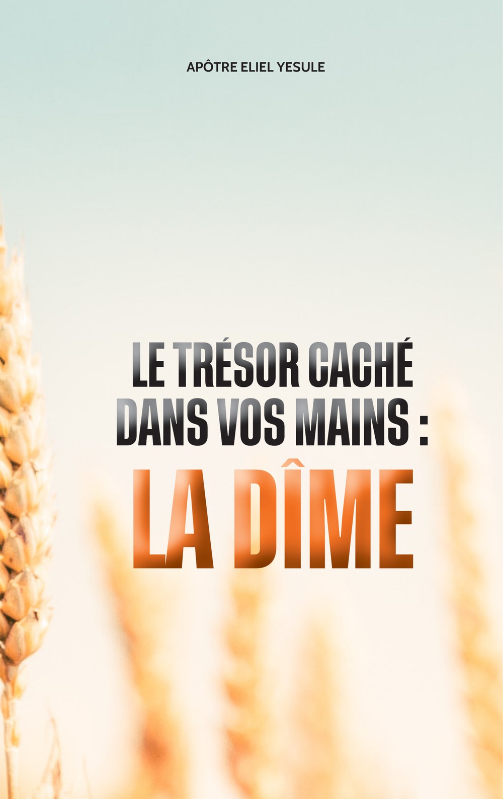 Couverture du livre Le trésor caché dans vos mains&nbsp;: la dîme